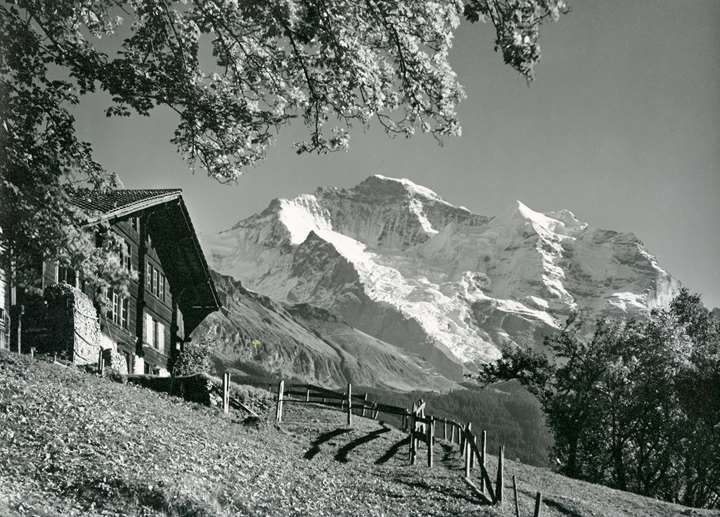 The Jungfrau seen from Wengen, Bernese Oberland, Switzerland.